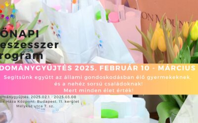 Tegyél Jót! Neszesszer program 2025 – A ma lányai a holnap női!